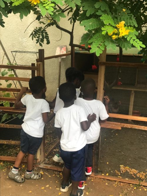 LenvolMontessori_img3
